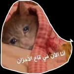 جيري
