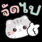 แมวมาร์คัส V.3 : HNY