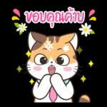 โอนแล้วนะ✅