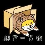SHIBANBAN微笑柴犬-寶寶逃避現實