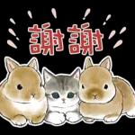 愛死你了，好開勳！！