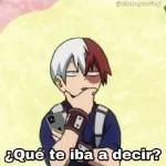 Shoto Todoroki