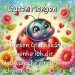 Glückskäfer