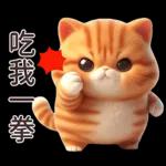 呆萌小橘猫