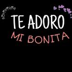 LINDA NOCHE