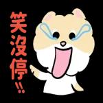 博美狗AB-不正经动起来