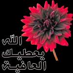 الواتساب