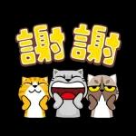 貓爪抓 -名人堂‧實在好抓-