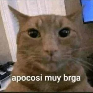 6FRDd1
