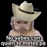 No sabes con quien te metes pa