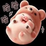 小猪熊好可爱啊