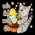 ขอบ
คุณ
ค่ะ