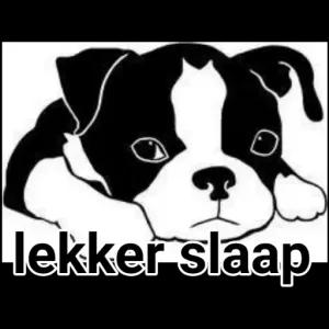 UEhQRb
