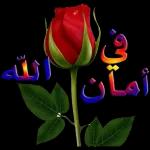 ملصقات واتساب