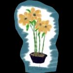 Love you forever 💛