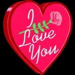 I love you, sleep well