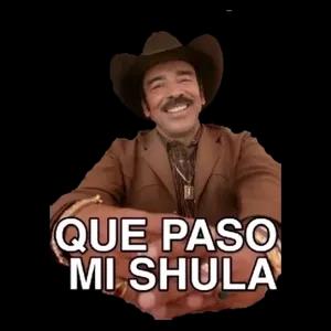 QUE PASO MI SHULA - getsticker.com