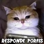 mis etiquetas