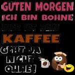 Moin Moin