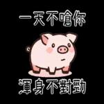 豬豬聯萌_你是豬嗎?只會吃