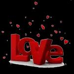 love and rose