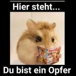 Hier  steht du bist ein Opfer 