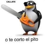 sim
