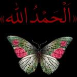 معاكم مرق و B