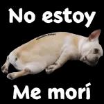 Gracias