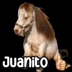 Cara de estúpida