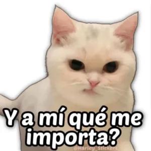 Y a mí qué me importa? - getsticker.com