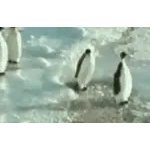 Motion Skills
