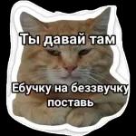 иди в пень
