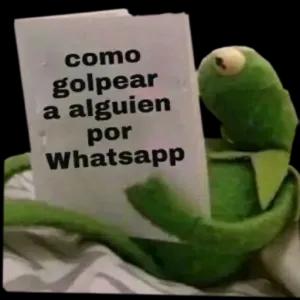 BepOSg