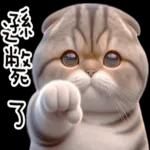 折耳貓貓 ❤ 給你一個讚 ❤