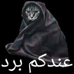شكرا لرع' v