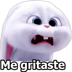 di8ok6