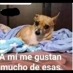 Que onda grupo.