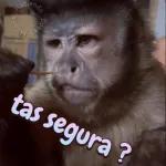 changos