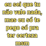 eu sei que tu não vale nada, mas eu só te pego só pra ter certeza msm