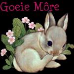 Goeie
More!
Doreen onk