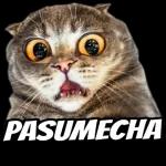 las chidas