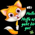 Tägliche Grüße🌹