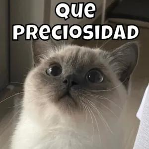 Que preciosidad - getsticker.com