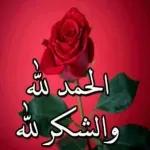 ملصقات مفضلة