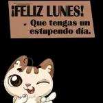 Feliz Inicio de Semana