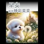 瑪爾濟斯小狗對你說早安40大貼圖-3