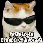 Aquí Pensando
