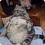 юююжюююэ0лю