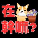 可愛柯基- 實用日常用語